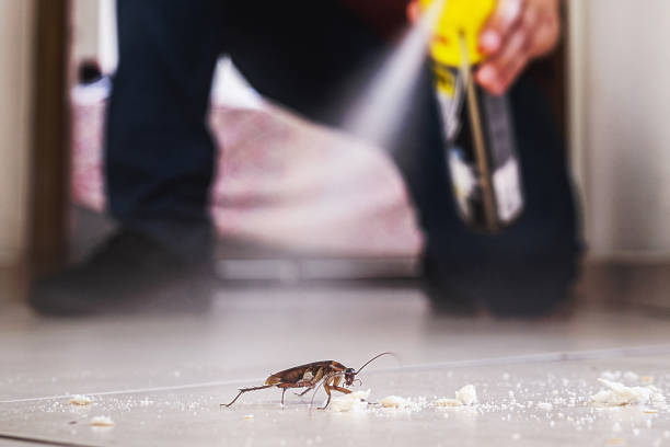 Best Residential Pest Control  in Royse City, TX