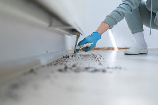 Best Pest Prevention Services  in Royse City, TX